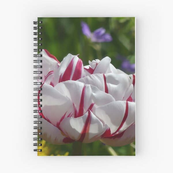 Item preview, Tulip from Holland designed and sold by Sandra  Brave.