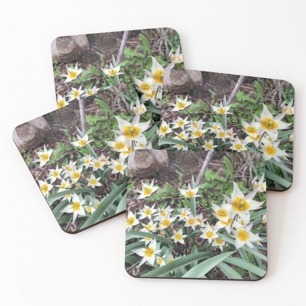 Item preview, Tulips designed and sold by Gourmetkater.