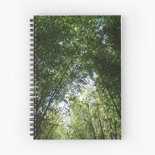 Item preview, Bamboo Canopy designed and sold by GardenArtworks.