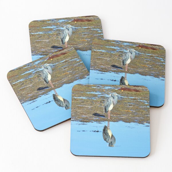 Item preview, A Tricolor Heron and Its Reflection designed and sold by Michiale.