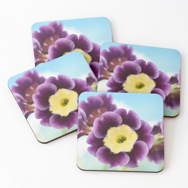 Item preview, Primula auricula designed and sold by Chris Burrows.