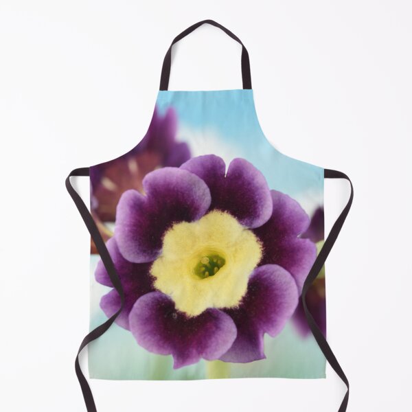 Item preview, Primula auricula designed and sold by Chris Burrows.