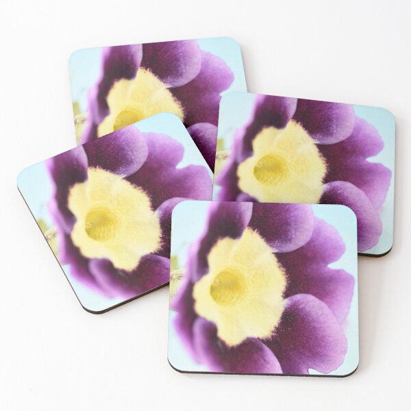 Item preview, Primula auricula designed and sold by Chris Burrows.