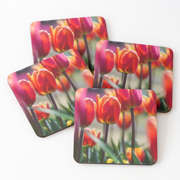 Item preview, Tulip Field 5 designed and sold by Rachael Martin.