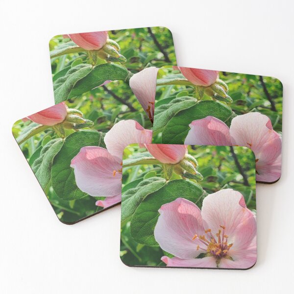 Item preview, Quince blossom 2 photography print designed and sold by orangerinka.