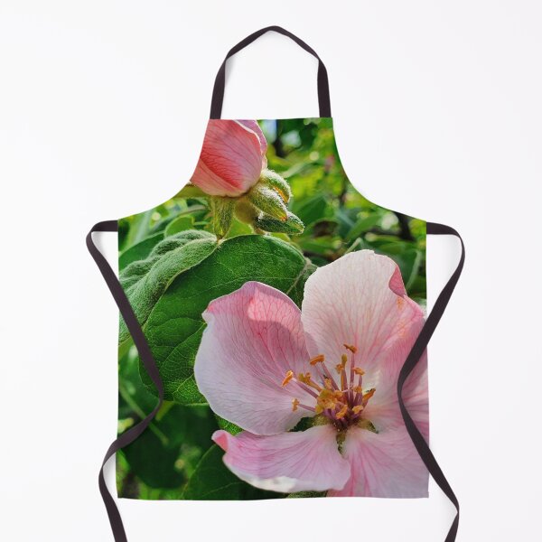 Item preview, Quince blossom 2 photography print designed and sold by orangerinka.