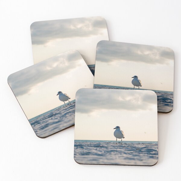 Item preview, Bird on the beach designed and sold by Brown Family Photographers.