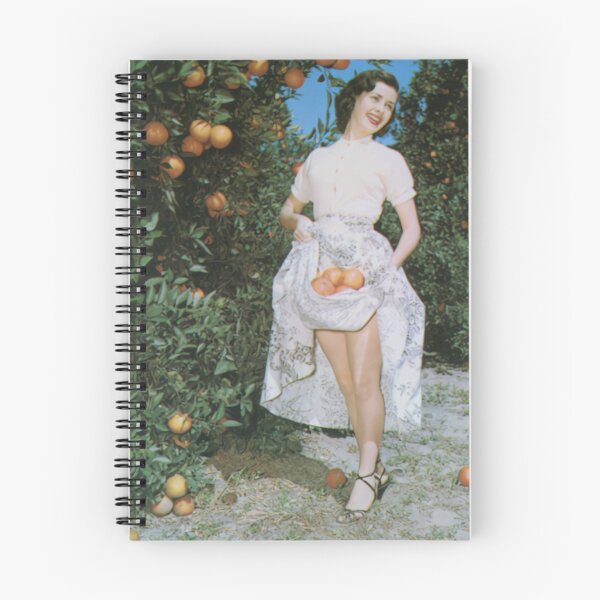 Item preview, Florida Postcard - Collecting oranges in her dress designed and sold by Lowtech.
