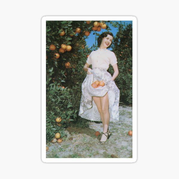 Item preview, Florida Postcard - Collecting oranges in her dress designed and sold by Lowtech.
