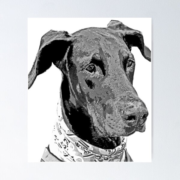 Item preview, Zeus the Doberman designed and sold by LedaundZeus.