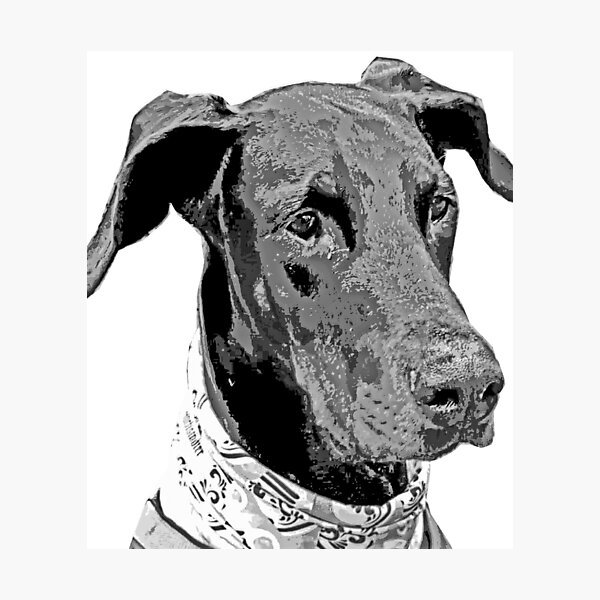 Item preview, Zeus the Doberman designed and sold by LedaundZeus.