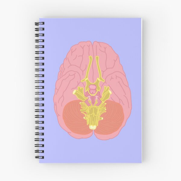 Item preview, Brain designed and sold by tunatoes.