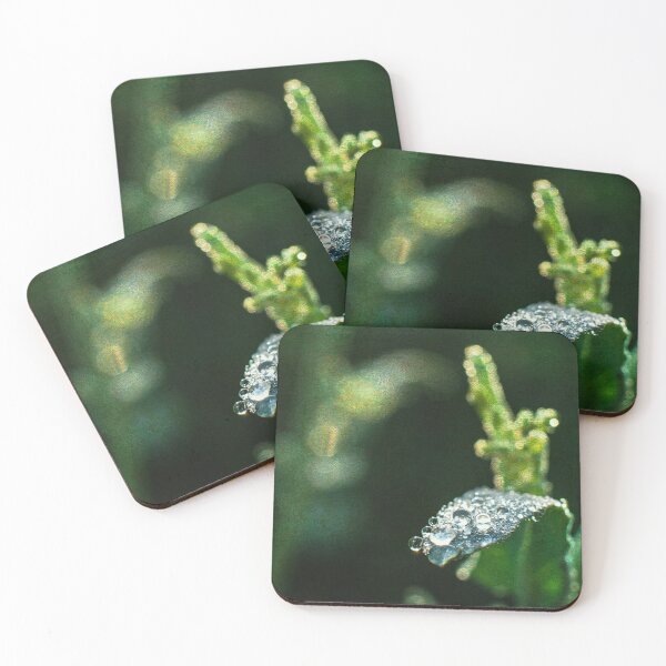 Item preview, Little Drops Of Water designed and sold by Denise Abé.