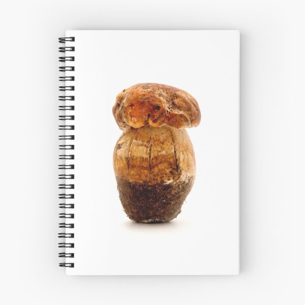 Item preview, Boletus edulis designed and sold by troianifabrizio.