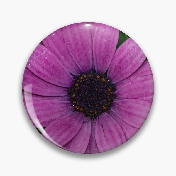 Item preview, Osteospermum Flower. designed and sold by GingerMan2550.