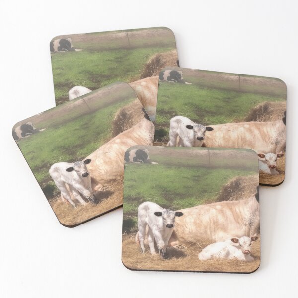 Item preview, American Family designed and sold by Jim Love.