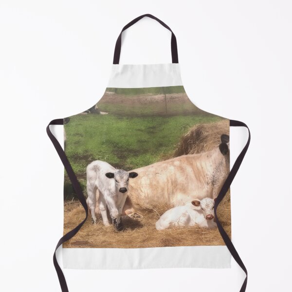 Item preview, American Family designed and sold by Jim Love.