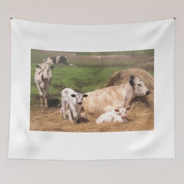 Item preview, American Family designed and sold by Jim Love.
