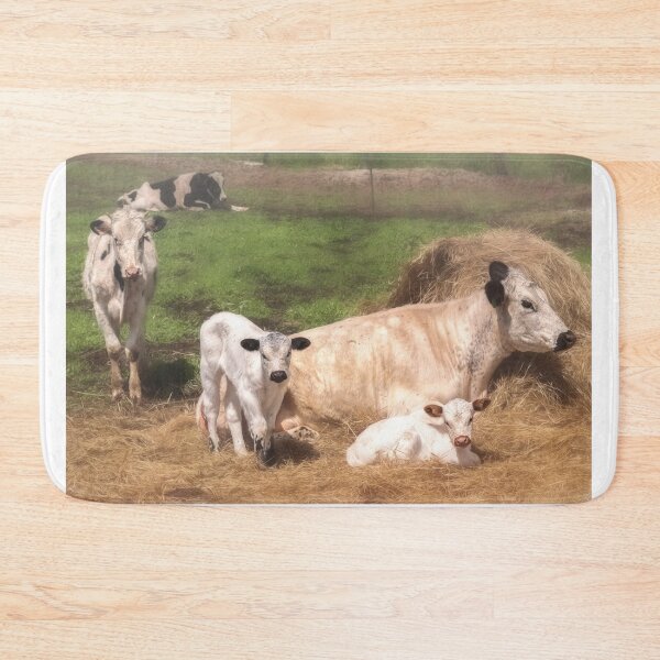 Item preview, American Family designed and sold by Jim Love.