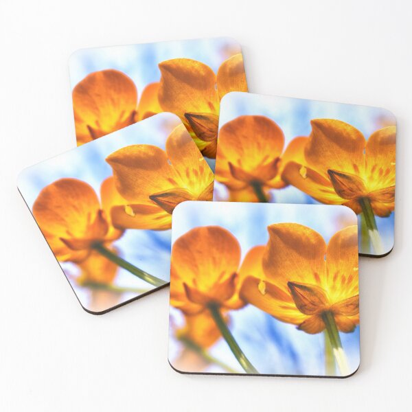 Item preview, Imperfect Beauty designed and sold by Jim Love.