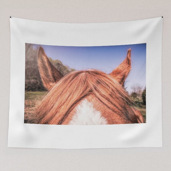 Item preview, Mop Top designed and sold by Jim Love.