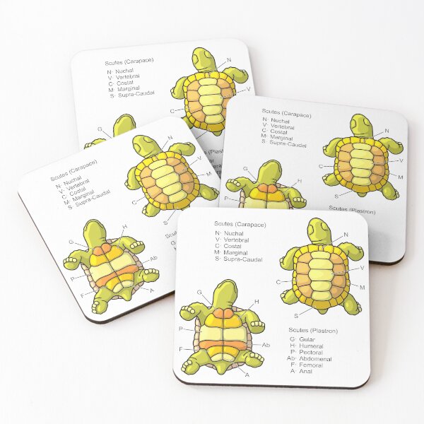 Item preview, Scutes of the Tortoise Shell Diagram designed and sold by taylorcustom.