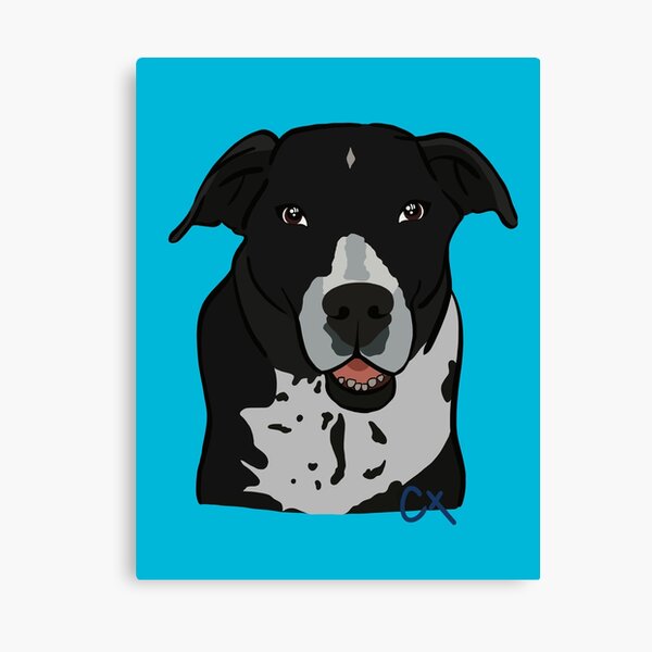 Collie Puppy Canvas Print