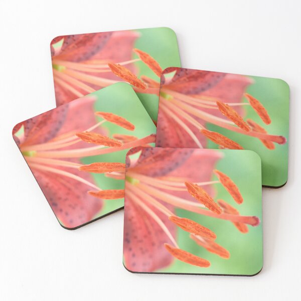 Item preview, Lilium  'Red Velvet'  Asiatic Lily designed and sold by Chris Burrows.