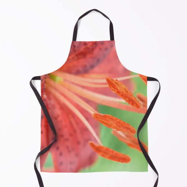 Item preview, Lilium  'Red Velvet'  Asiatic Lily designed and sold by Chris Burrows.