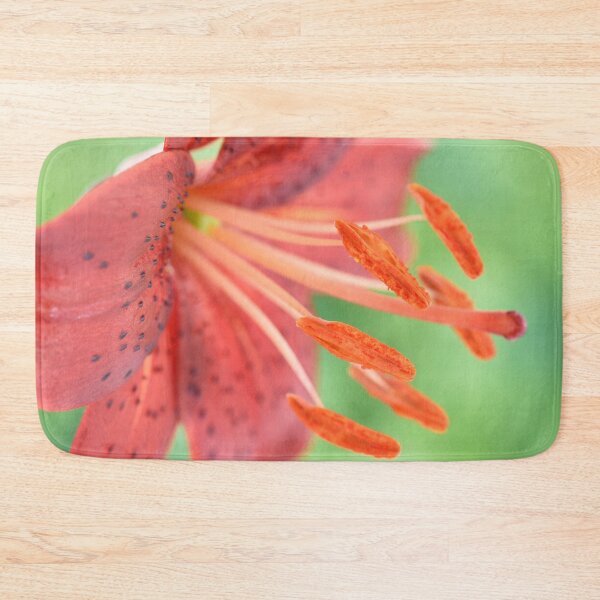 Item preview, Lilium  'Red Velvet'  Asiatic Lily designed and sold by Chris Burrows.