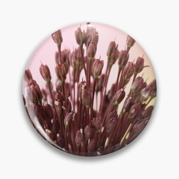 Item preview, Allium amethystinum  'Red Mohican'  designed and sold by Chris Burrows.