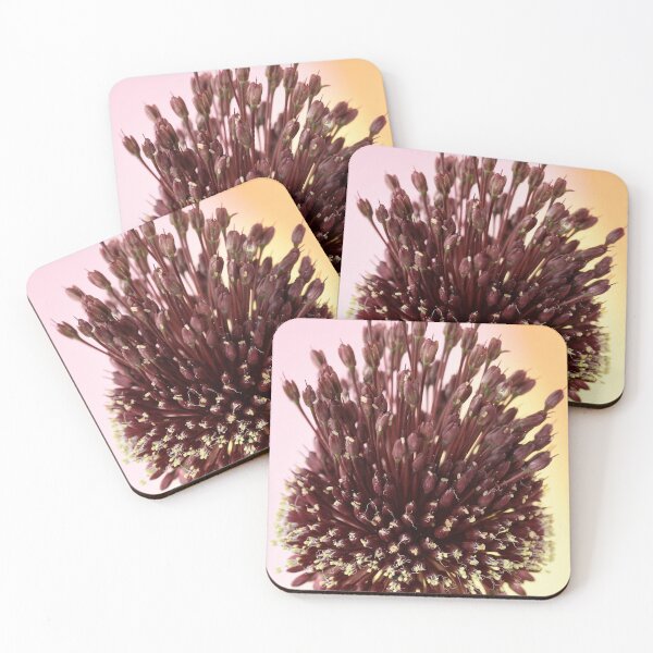 Item preview, Allium amethystinum  'Red Mohican'  designed and sold by Chris Burrows.