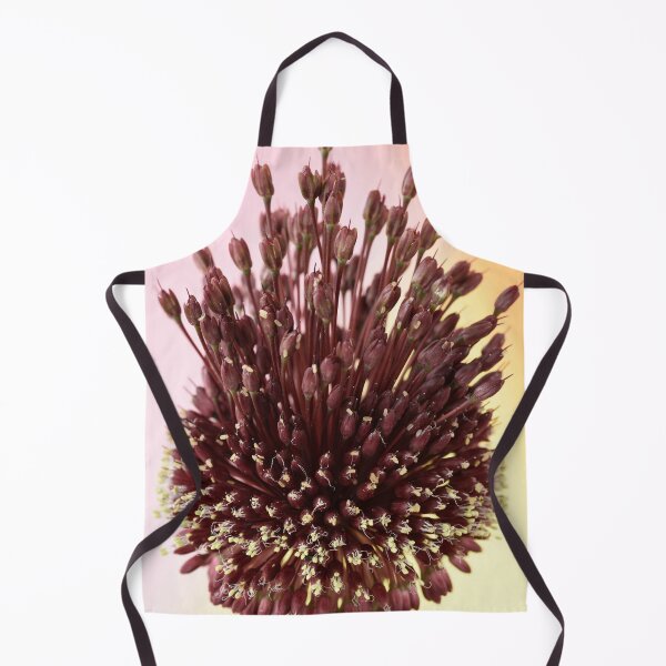 Item preview, Allium amethystinum 'Red Mohican' designed and sold by Chris Burrows.