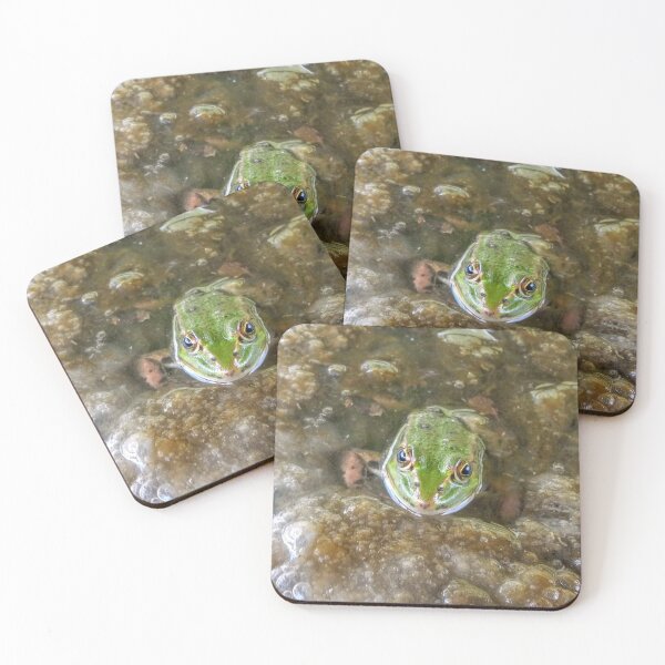 Item preview, Little frog designed and sold by Hilly366.