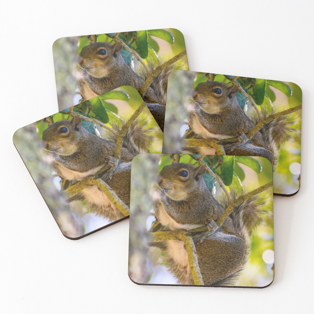 Item preview, Coasters (Set of 4) designed and sold by BrownFP.