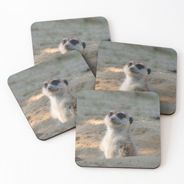 Item preview, Meerkat 004 designed and sold by JAMFoto.