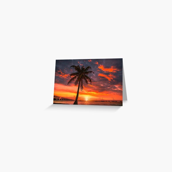 Florida Sunset Greeting Card