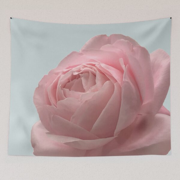 Item preview, Pale Pink Rose Close-up Photo designed and sold by InalterataArt.