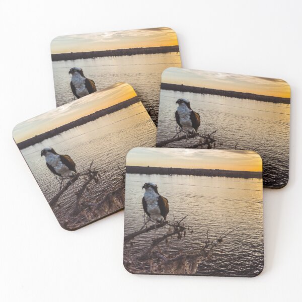 Item preview, bird designed and sold by Brown Family Photographers.