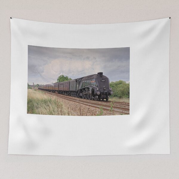 Item preview, 60009 Union of South Africa  designed and sold by duncan1980uk.