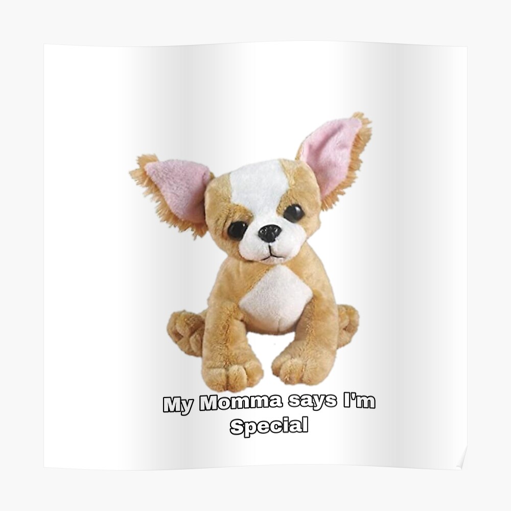 chihuahua webkinz