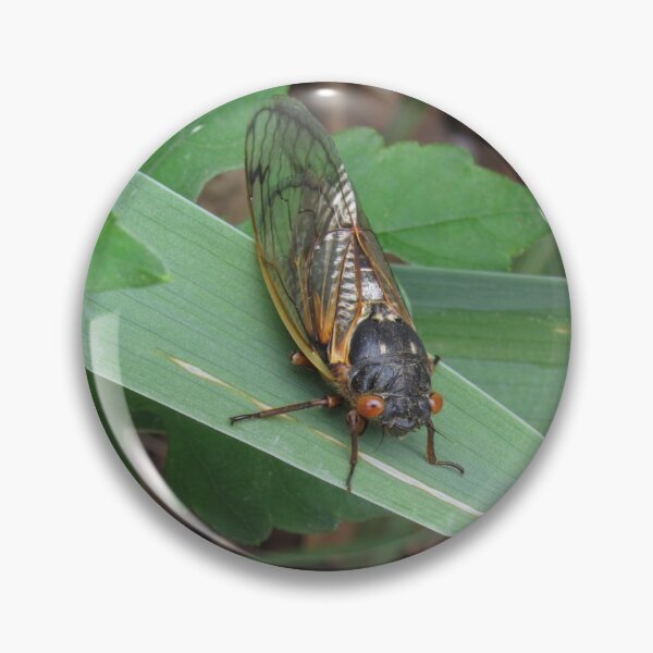 Item preview, Hey there. (Brood X cicada) designed and sold by UpTowardTheSky.