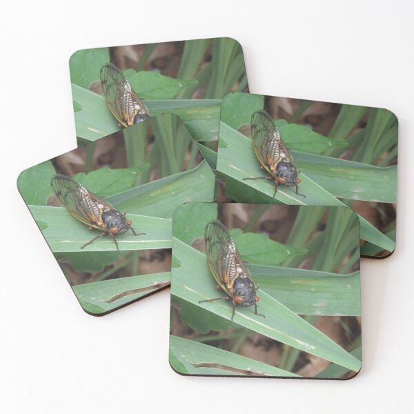 Item preview, Hey there. (Brood X cicada) designed and sold by UpTowardTheSky.