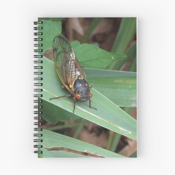 Item preview, Hey there. (Brood X cicada) designed and sold by UpTowardTheSky.