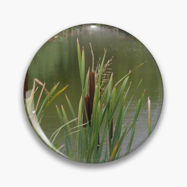 Item preview, Bulrushes (Typha) designed and sold by lezvee.