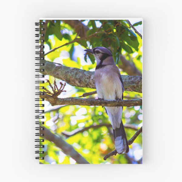 Item preview, bird designed and sold by Brown Family Photographers.