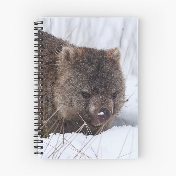 Item preview, Winter Wombat  designed and sold by Leeo.