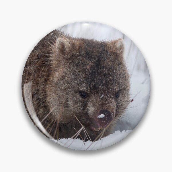 Item preview, Winter Wombat  designed and sold by Leeo.