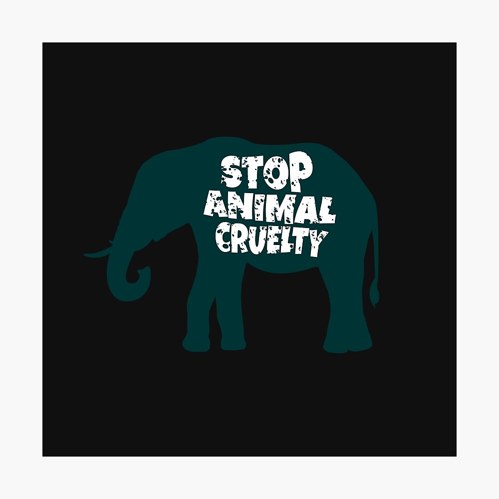 Stop Animal Cruelty Abuse Elephant Stop Animal Cruelty Abuse Elephant