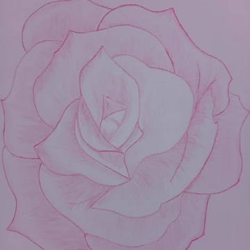 Artwork thumbnail, ROSE by CathYoder